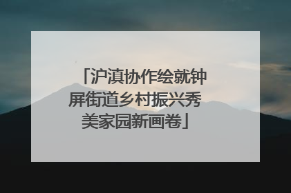 沪滇协作绘就钟屏街道乡村振兴秀美家园新画卷