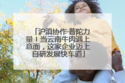 沪滇协作·普陀力量〡当云南牛肉遇上意面，这家企业迈上自研发展快车道