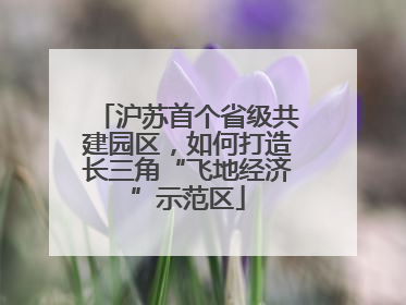 沪苏首个省级共建园区，如何打造长三角“飞地经济”示范区