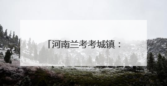 河南兰考考城镇：麦浪千重喜归仓 惠风暖意满乡村