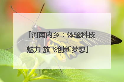 河南内乡：体验科技魅力 放飞创新梦想