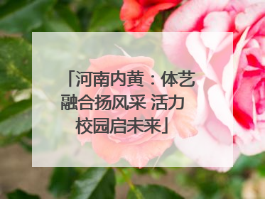 河南内黄：体艺融合扬风采 活力校园启未来