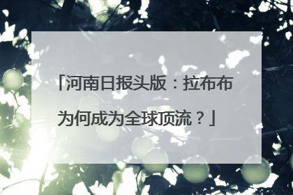 河南日报头版：拉布布为何成为全球顶流？