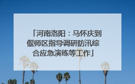 河南洛阳：马怀庆到偃师区指导调研防汛综合应急演练等工作