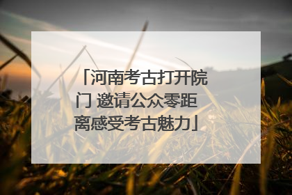 河南考古打开院门 邀请公众零距离感受考古魅力