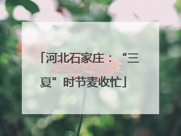 河北石家庄：“三夏”时节麦收忙