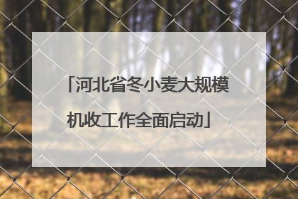 河北省冬小麦大规模机收工作全面启动