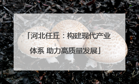 河北任丘：构建现代产业体系 助力高质量发展