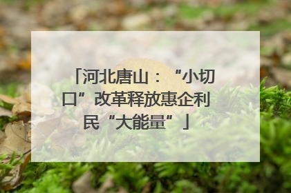 河北唐山：“小切口”改革释放惠企利民“大能量”
