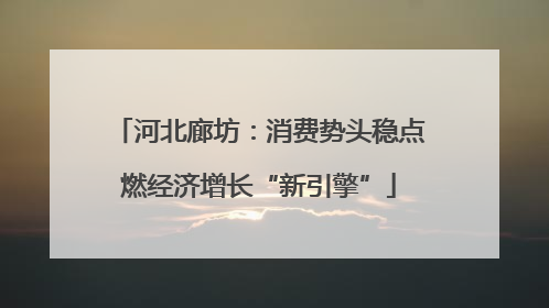 河北廊坊：消费势头稳点燃经济增长“新引擎”