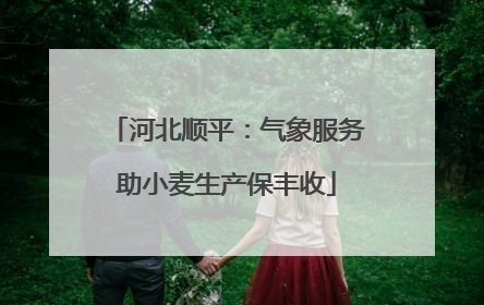 河北顺平：气象服务助小麦生产保丰收
