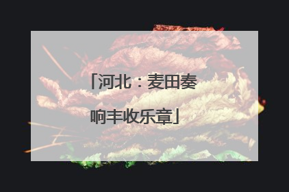 河北：麦田奏响丰收乐章