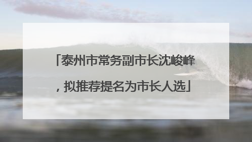 泰州市常务副市长沈峻峰，拟推荐提名为市长人选