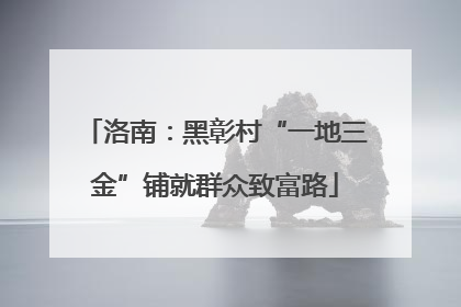 洛南：黑彰村“一地三金”铺就群众致富路