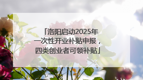 洛阳启动2025年一次性开业补贴申报，四类创业者可领补贴