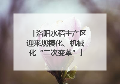 洛阳水稻主产区迎来规模化、机械化“二次变革”