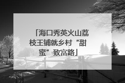 海口秀英火山荔枝王铺就乡村“甜蜜”致富路