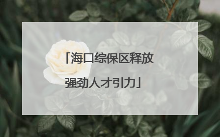 海口综保区释放强劲人才引力