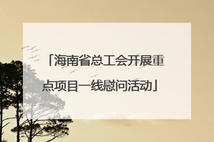海南省总工会开展重点项目一线慰问活动