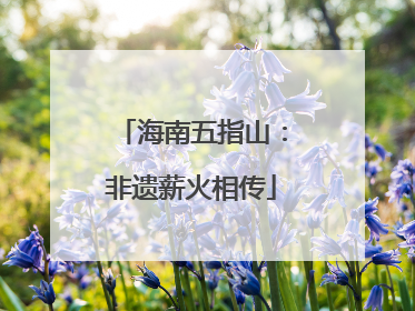 海南五指山：非遗薪火相传