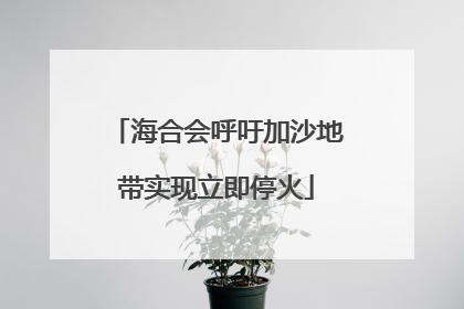 海合会呼吁加沙地带实现立即停火