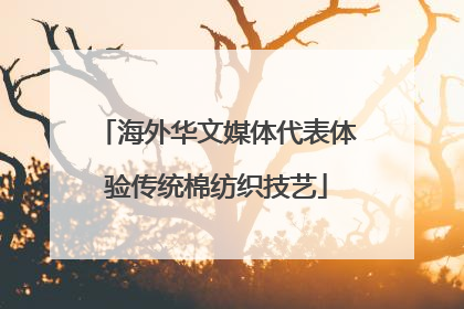 海外华文媒体代表体验传统棉纺织技艺