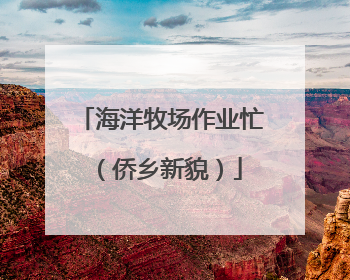 海洋牧场作业忙（侨乡新貌）