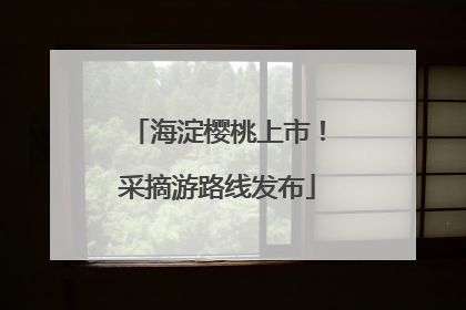 海淀樱桃上市！采摘游路线发布