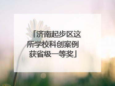 济南起步区这所学校科创案例获省级一等奖