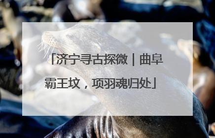 济宁寻古探微｜曲阜霸王坟，项羽魂归处
