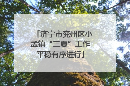 济宁市兖州区小孟镇“三夏”工作平稳有序进行