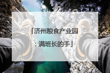 济州粮食产业园：满班长的手