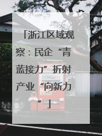 浙江区域观察：民企“青蓝接力”折射产业“向新力”