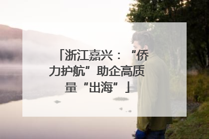 浙江嘉兴：“侨力护航”助企高质量“出海”