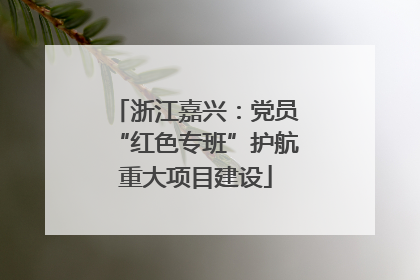 浙江嘉兴：党员“红色专班”护航重大项目建设