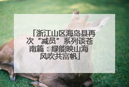 浙江山区海岛县再次“减员”系列谈苍南篇：绿能映山海 风吹共富帆