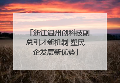 浙江温州创科技副总引才新机制 塑民企发展新优势