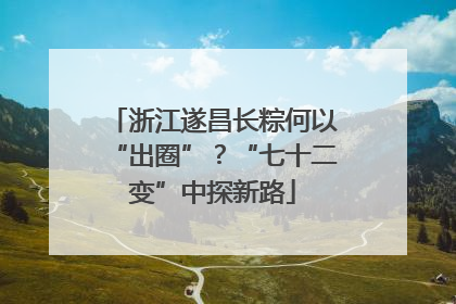 浙江遂昌长粽何以“出圈”？“七十二变”中探新路