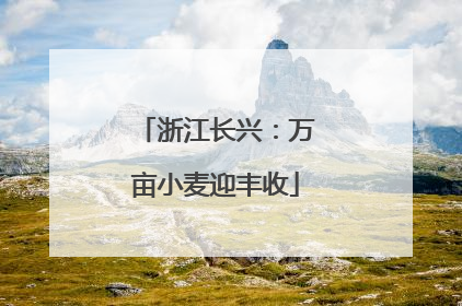 浙江长兴：万亩小麦迎丰收