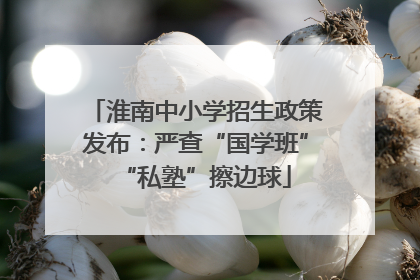淮南中小学招生政策发布：严查“国学班”“私塾”擦边球