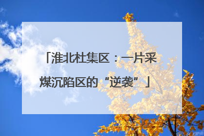 淮北杜集区：一片采煤沉陷区的“逆袭”