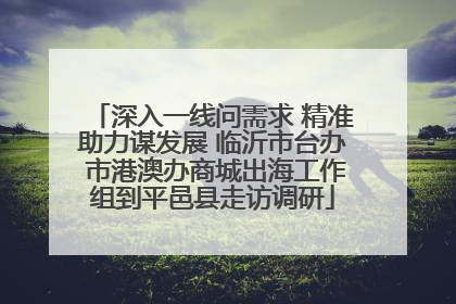 深入一线问需求 精准助力谋发展 临沂市台办 市港澳办商城出海工作组到平邑县走访调研