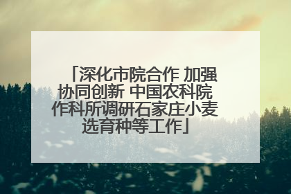 深化市院合作 加强协同创新 中国农科院作科所调研石家庄小麦选育种等工作