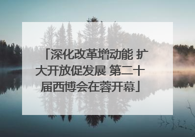 深化改革增动能 扩大开放促发展 第二十届西博会在蓉开幕