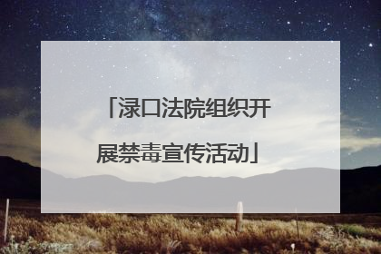 渌口法院组织开展禁毒宣传活动