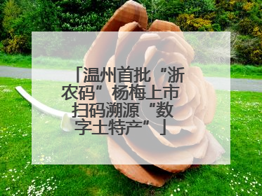 温州首批“浙农码”杨梅上市 扫码溯源“数字土特产”