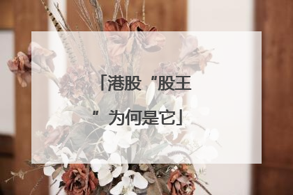 港股“股王”为何是它