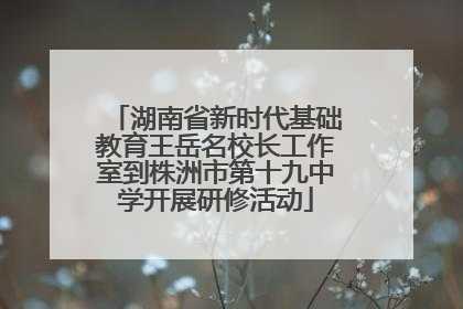 湖南省新时代基础教育王岳名校长工作室到株洲市第十九中学开展研修活动