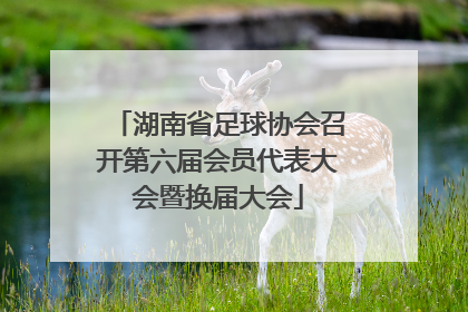 湖南省足球协会召开第六届会员代表大会暨换届大会