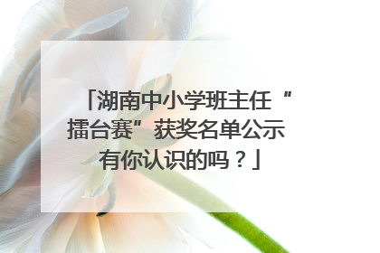 湖南中小学班主任“擂台赛”获奖名单公示 有你认识的吗？